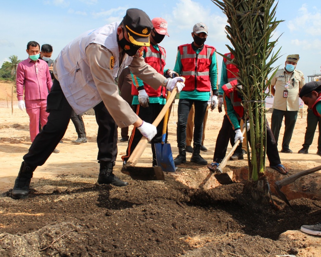 Sambut Hari Jadi Kota Pekanbaru Ke-237, Forkopimda Kota Lakukan Penanaman Pohon Kurma Sebanyak 400 Pohon