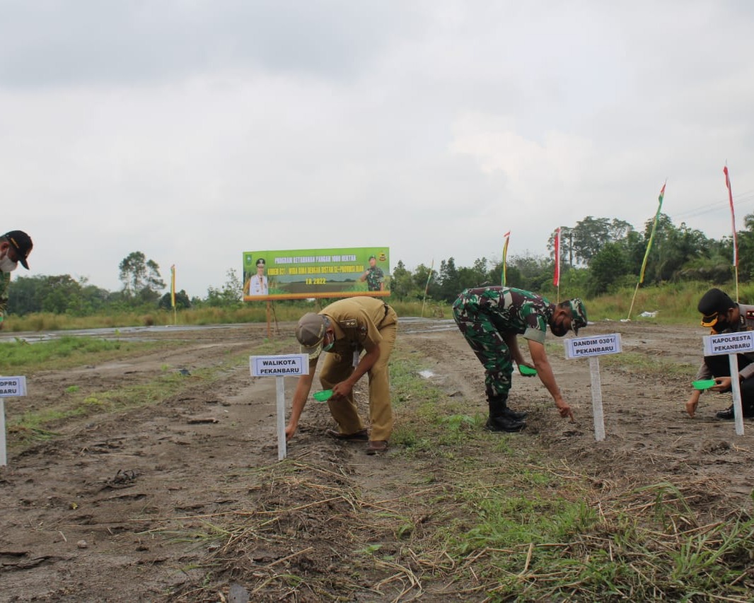 Dandim 0301/PBR Bersama Wakil Wali Kota Dan Forkopimda Hadiri Launching Program Ketahanan Pangan 1000 Hektar Korem 031/WB dan Distan Se-Provinsi Riau Secara Virtual