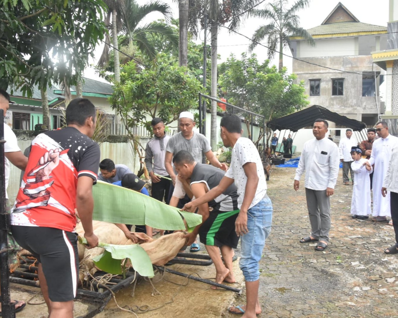 Korem 031/WB Gelar Sholat Idul Adha Bersama Dan Penyembelihan Hewan Kurban