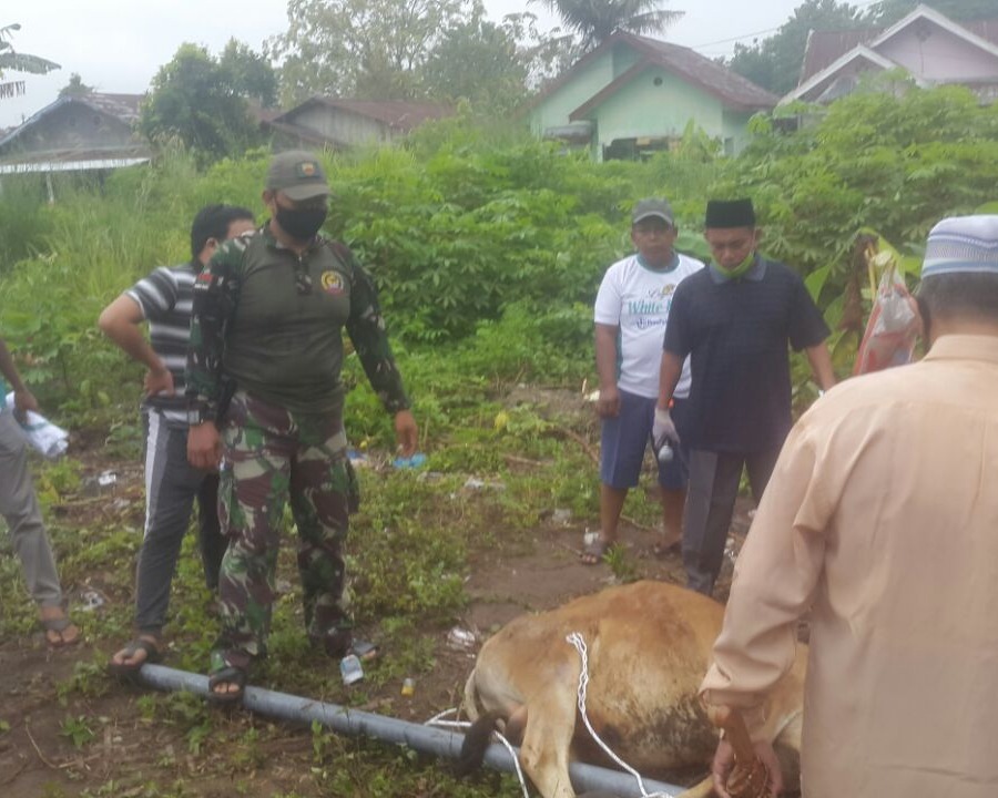 Masih Ada Anggota Kodim 0301/PBR Mau Terjun Langsung Dalam Membantu Penyembelihan Hewan Qurban 