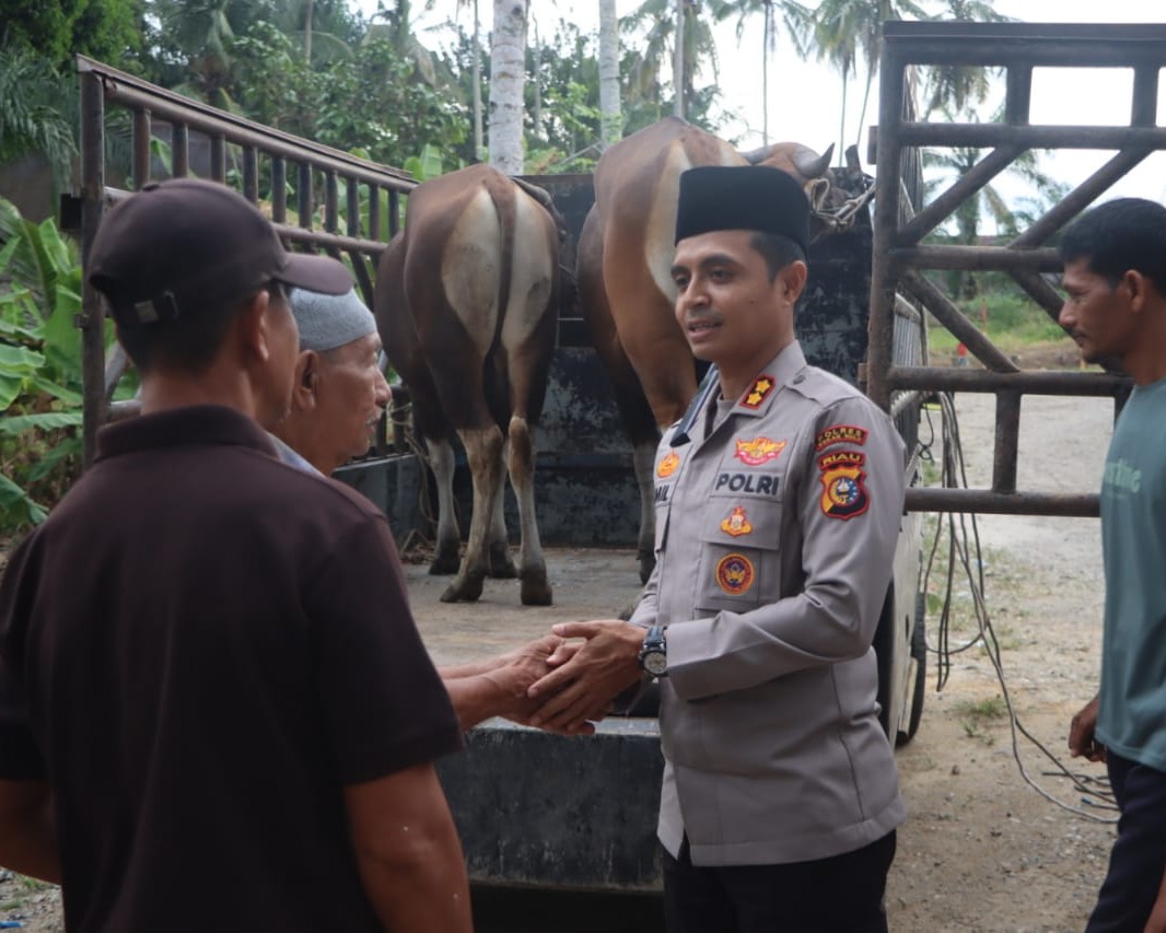 Hari Raya Idul Adha 1446 H, Polres Rohul Salurkan 14 Hewan Qurban Ke Masjid Diberbagai Desa